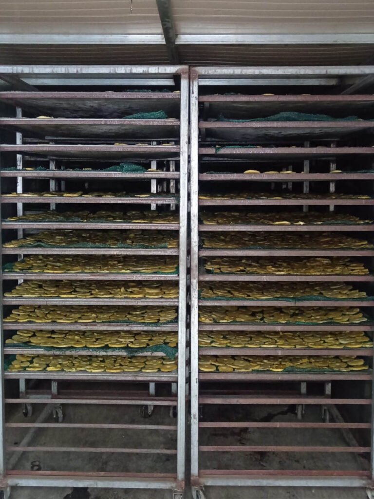 HORNO 1